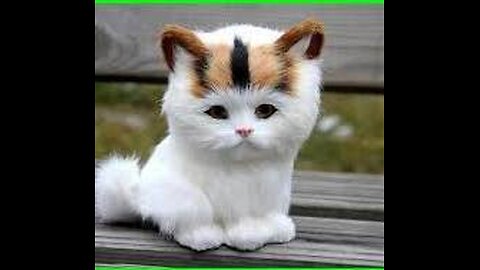 Funny animals 😄hub,funny animals club youtube, 🤣, funny animals dancing 💃😄, funny animals fighting