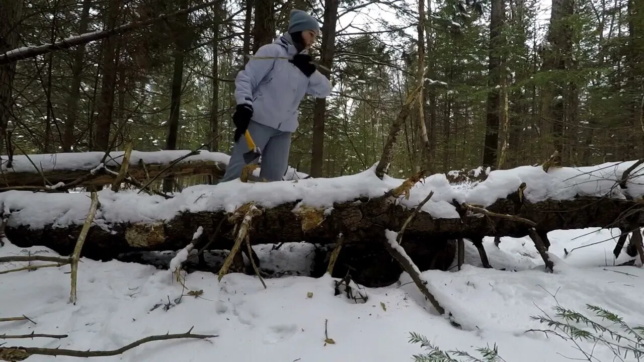 Winter Bushcraft: Camping with my Husky (-20⁰C)40 10