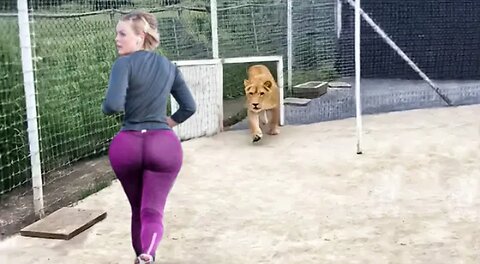Top Funniest moments caught on camera!! 
