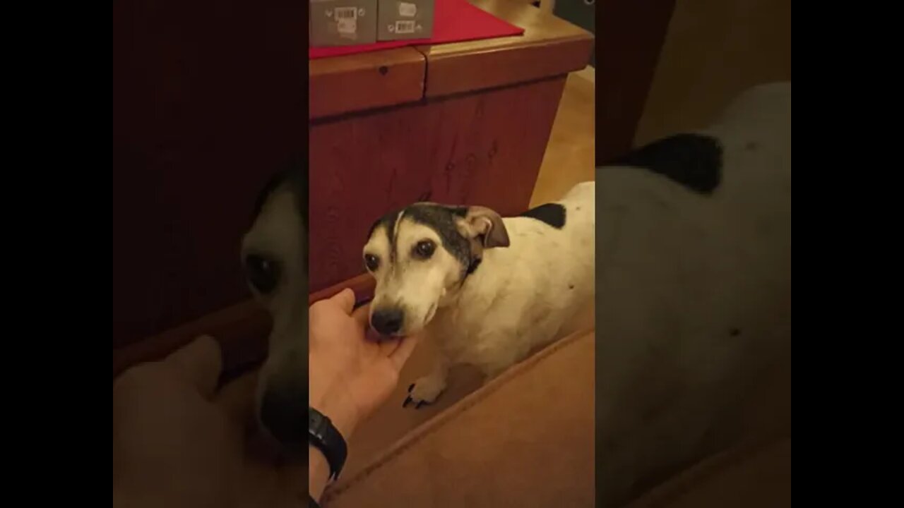 She Only Needs A Hand