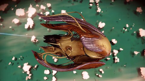No Man's Sky - Rogiyevk WJ7 - Living Ship Location