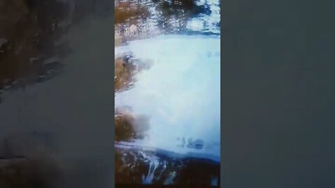 Waterworks Shorts 34