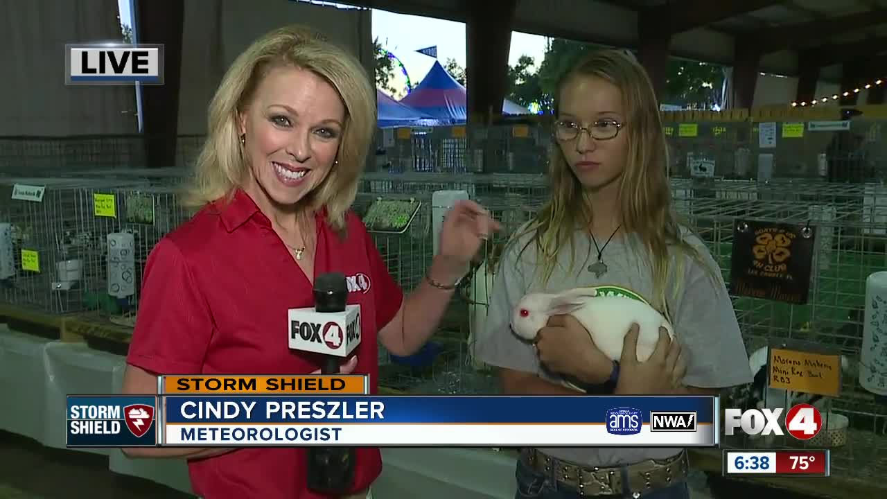 Lee County Fair underway in North Fort Myers checking out the livestock