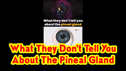 What They Don't Tell You About The Pineal Gland