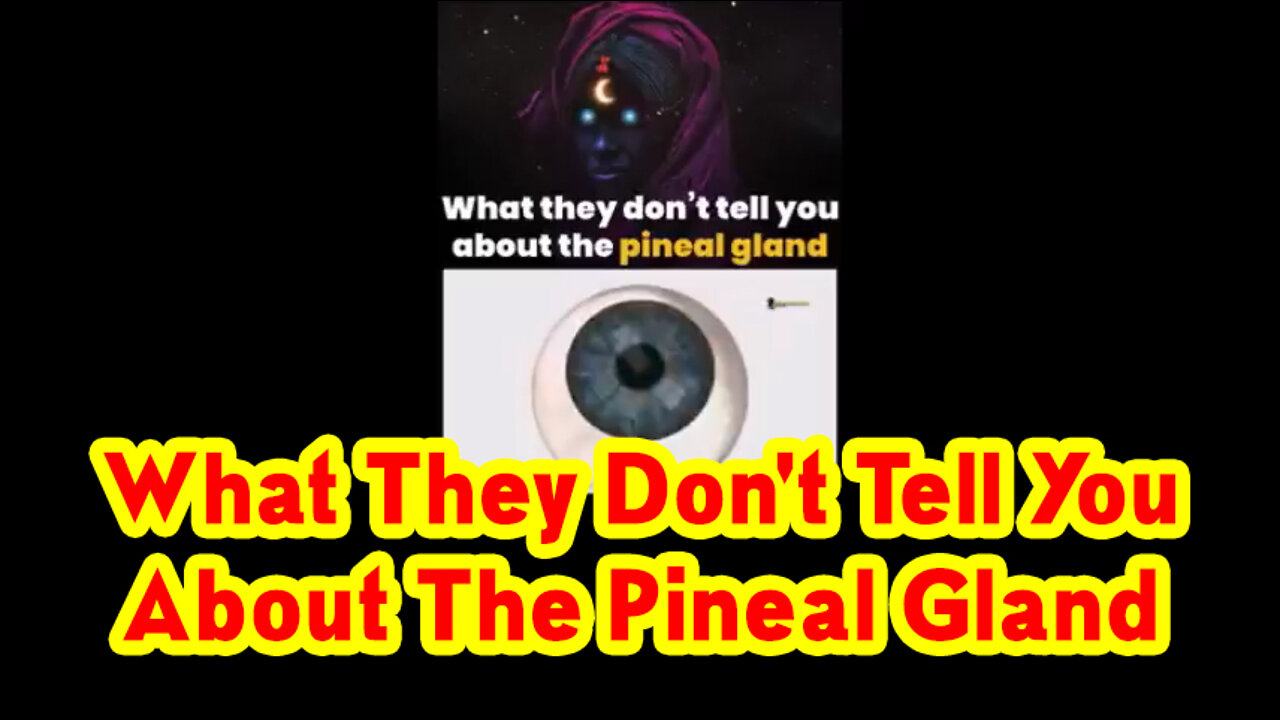 What They Don't Tell You About The Pineal Gland