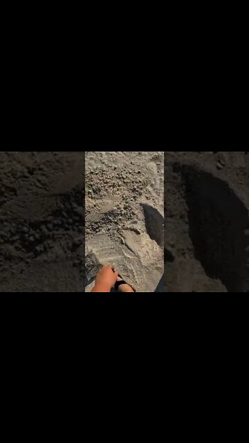 treasure detecting #shorts