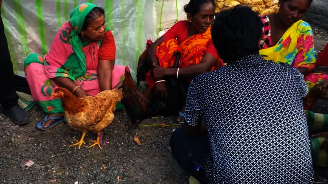 AMAZING RURAL MARKET BANTALA HAT 2021 || WEST BENGAL KOLKATA HAT || AMAZING BANTALA HAT 2021