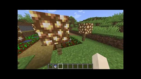 Minecraft continuando a nosso mundo