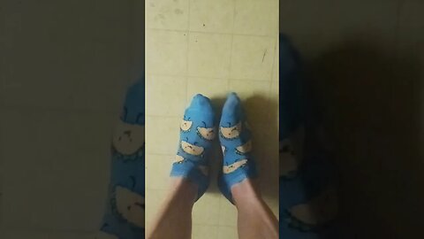 taco socks 🤣