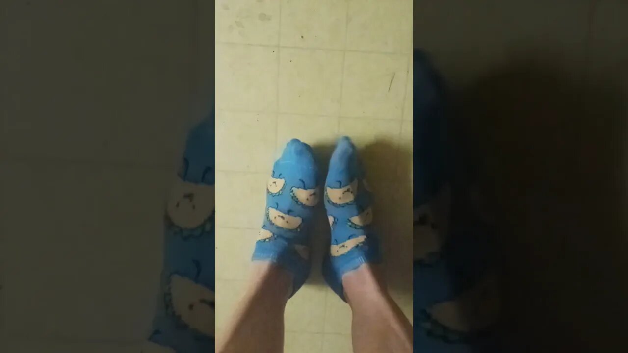 taco socks 🤣