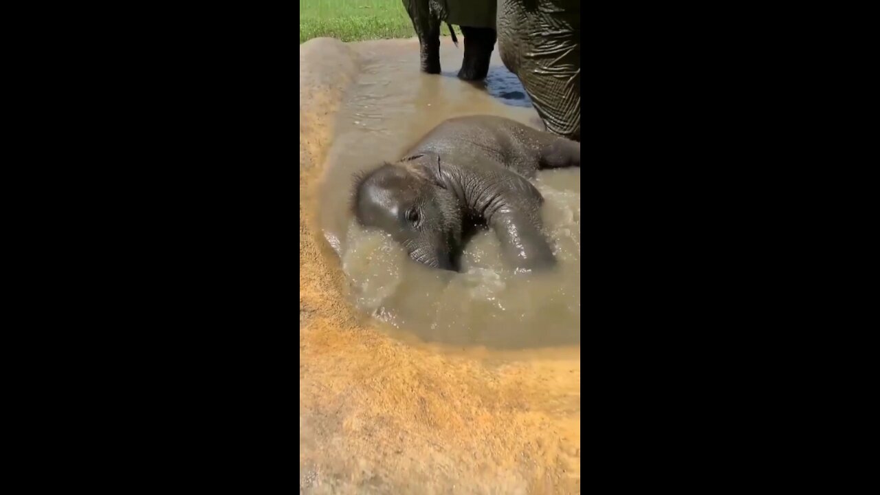 What a little darling enjoying his bath