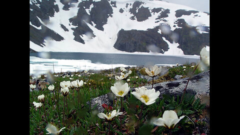 What is the Younger Dryas