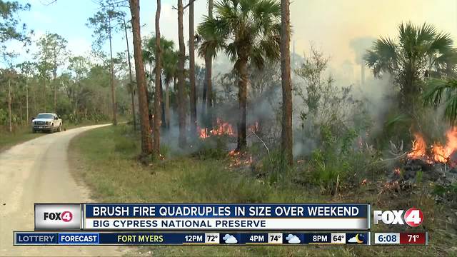 Brush fire in Big Cypress grows over the weekend