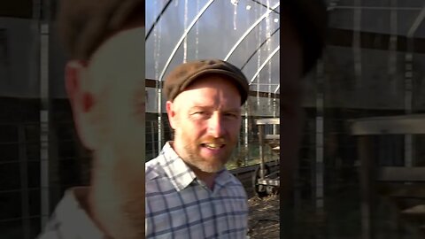 Justin Rhodes' Winter System for Pigs + Chickens #shorts