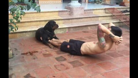 Ce chien aide son maître à se forger des abdos en béton