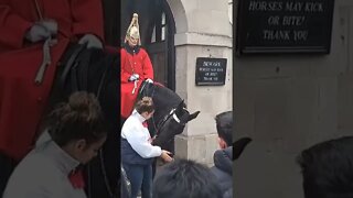 Tourist slaps horse across the the face guard shouts get back #horseguardsparade