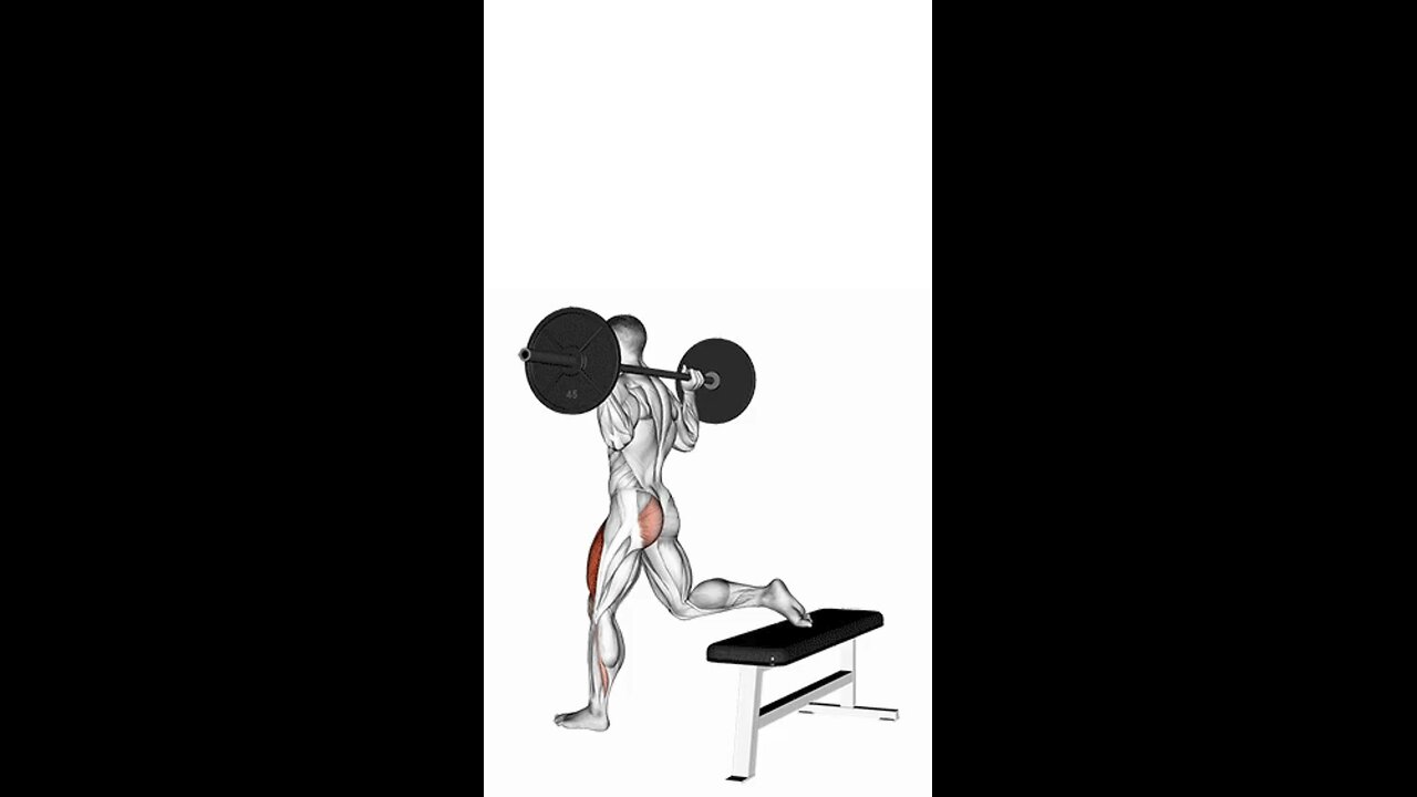 Barbell Bulgarian Split Squat Exercise