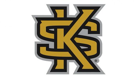 Stetson Hatters vs. Kennesaw State Owls, March 16, 2024