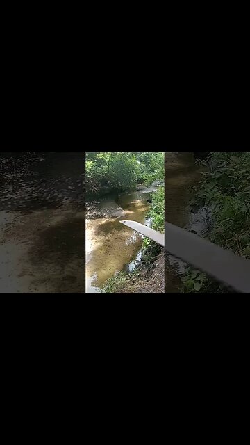 THIS IS WHERE YOU FIND THE GOLD (prospecting tricks of the trade) #shorts #gold #prospecting