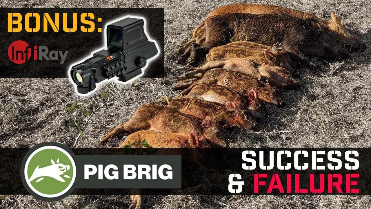 Success and Failure with the Pig Brig | Introducing the InfiRay FAST ThermalPlus Hybrid Reflex Sight