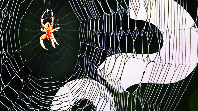 HowStuffWorks NOW: Sometimes Spiders Share Themselves to Death