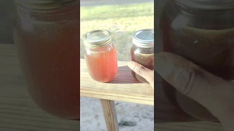 FREE HONEY