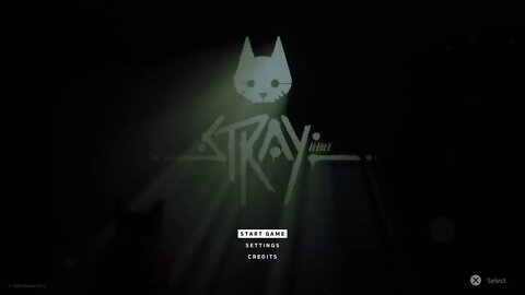 Stray: Meow? Meow!