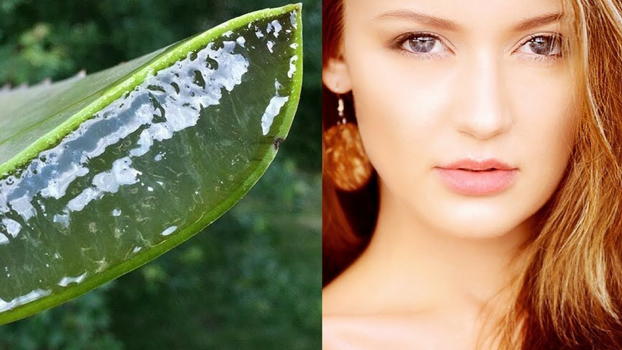 TOP 6 BENEFITS OF USING ALOE VERA GEL ON YOUR SKIN