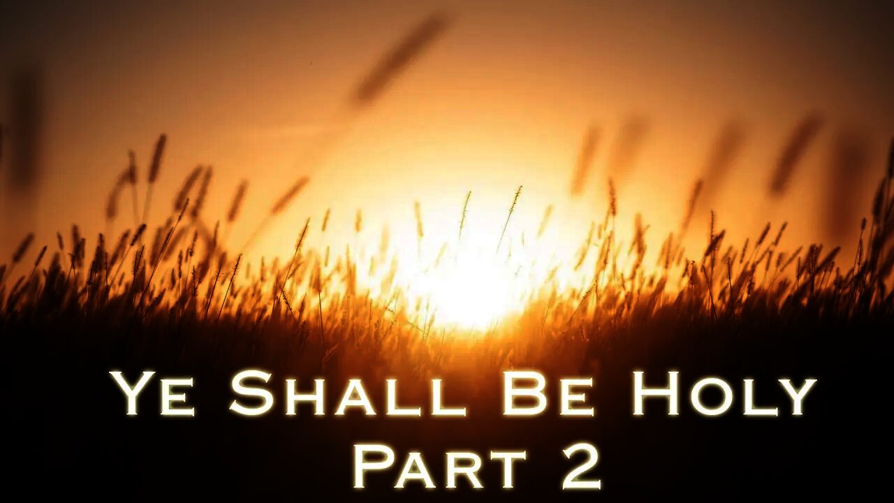 Ye Shall Be Holy Part 2 | Pastor Steven Anderson Preaching