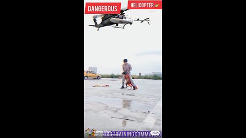 helicopter and Dogs commando training #viralshorts