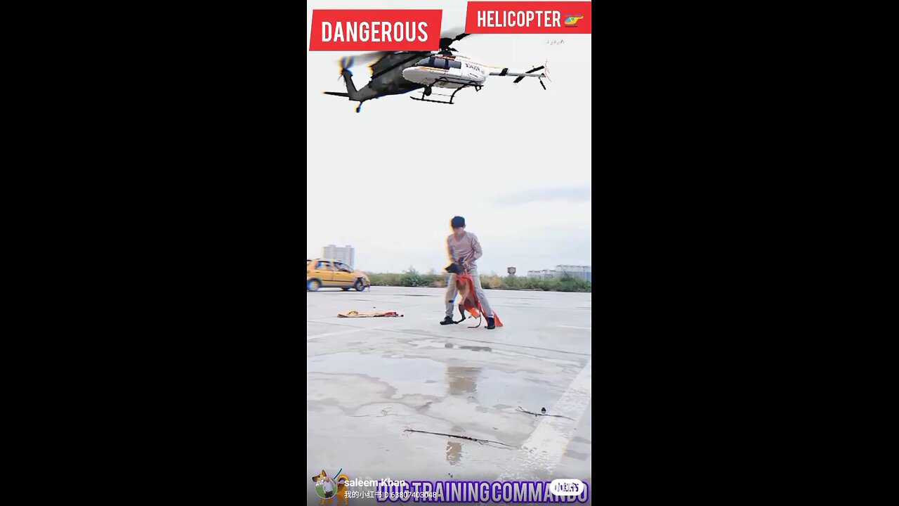 helicopter and Dogs commando training #viralshorts