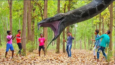 Anaconda Snake Attack On Village Boy In Forest.