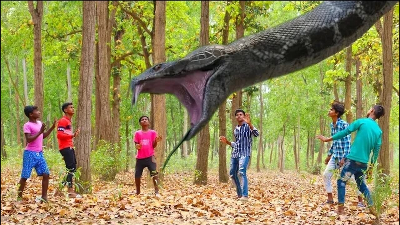 Anaconda Snake Attack On Village Boy In Forest.