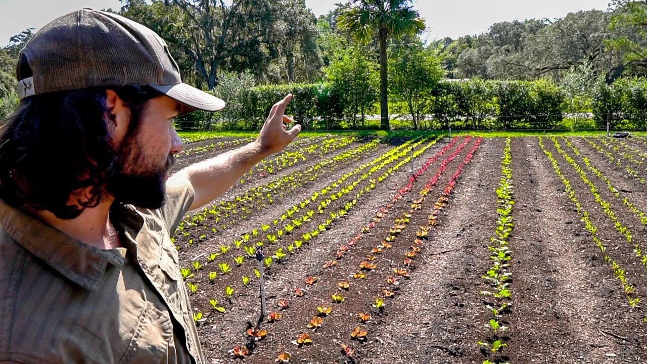 Farm Update after Hurricane Ian + Market Garden Progress @ Sandhill Farm!