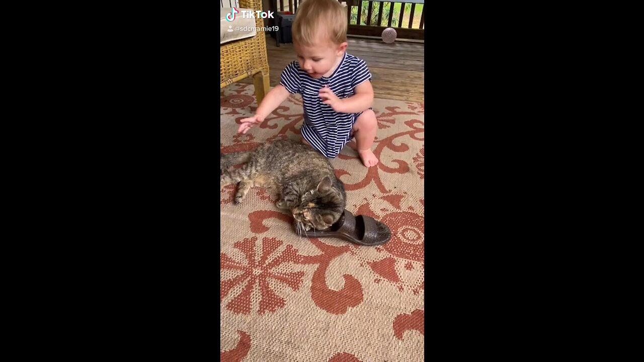 Baby Girl Abrupted by Cat Interupted