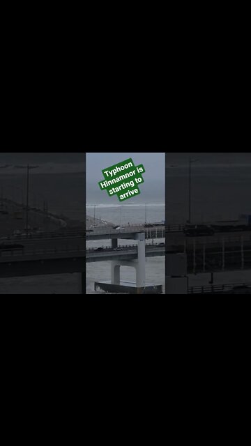 Typhoon Hinnamnor starting to arrive in Busan, Korea