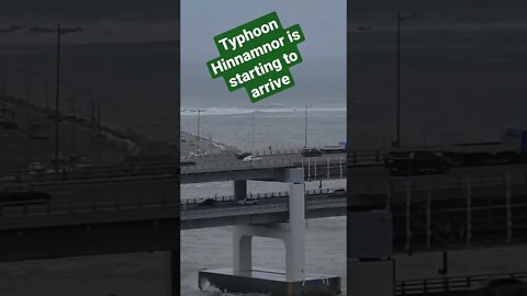 Typhoon Hinnamnor starting to arrive in Busan, Korea