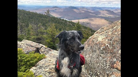 Crane Mountain - Adirondacks NY