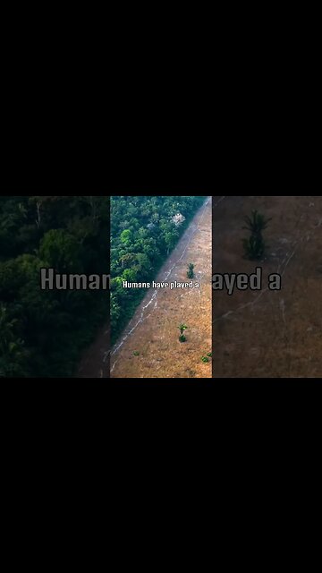 What If Humans Were Never On This Planet Part 3 #short #shortsfeed #shortsvideo #didyouknow #viral