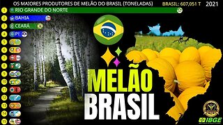 Os Maiores Produtores de Melão do Brasil