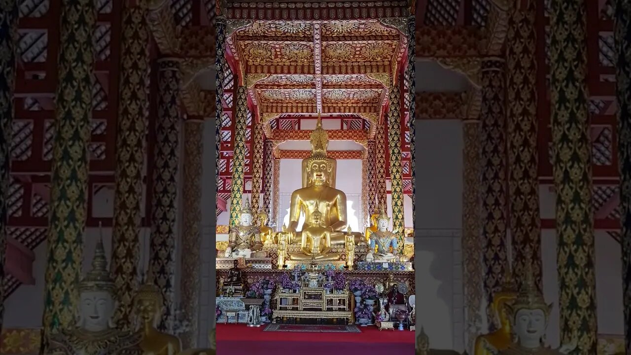 Wat Suan Dok Temple Chiang Mai Thailand 🇹🇭 #shorts #Thailand #chiangmai #Temple #expat #travel