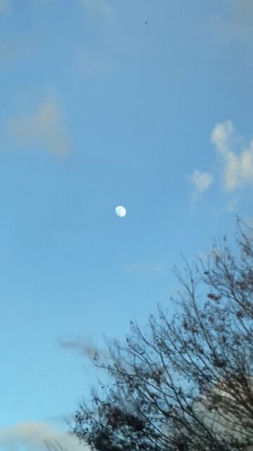 More afternoon moon ...