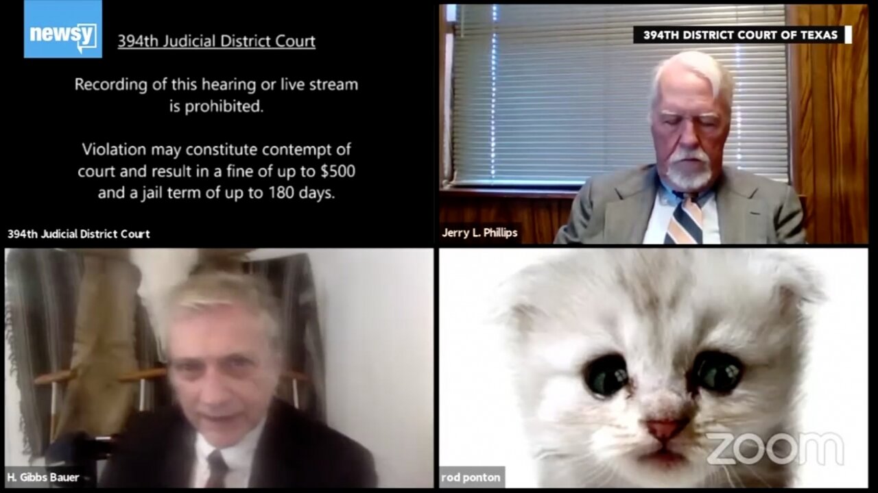 Texas Lawyer's Zoom Call Mishap Goes Viral