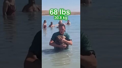 68 LBS of Rocks To Sink Human Body? 🤔