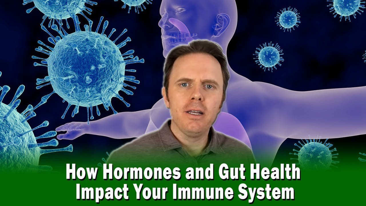 How Hormones and Gut Health Impact Your Immune System