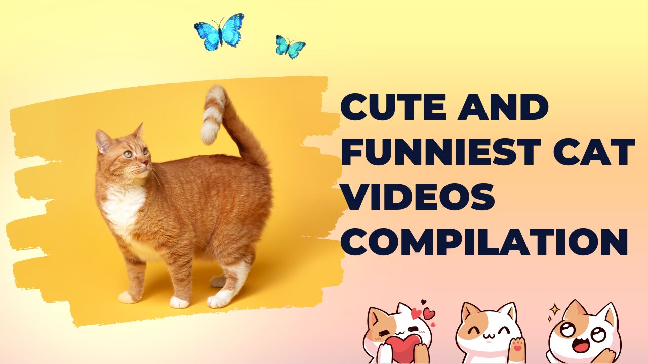 CUTE AND FUNNIEST CAT VIDEOS COMPILATION