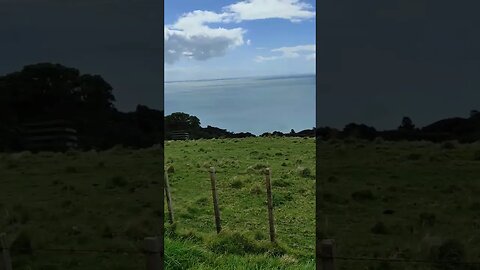 Cactus Bay Waiheke Island.