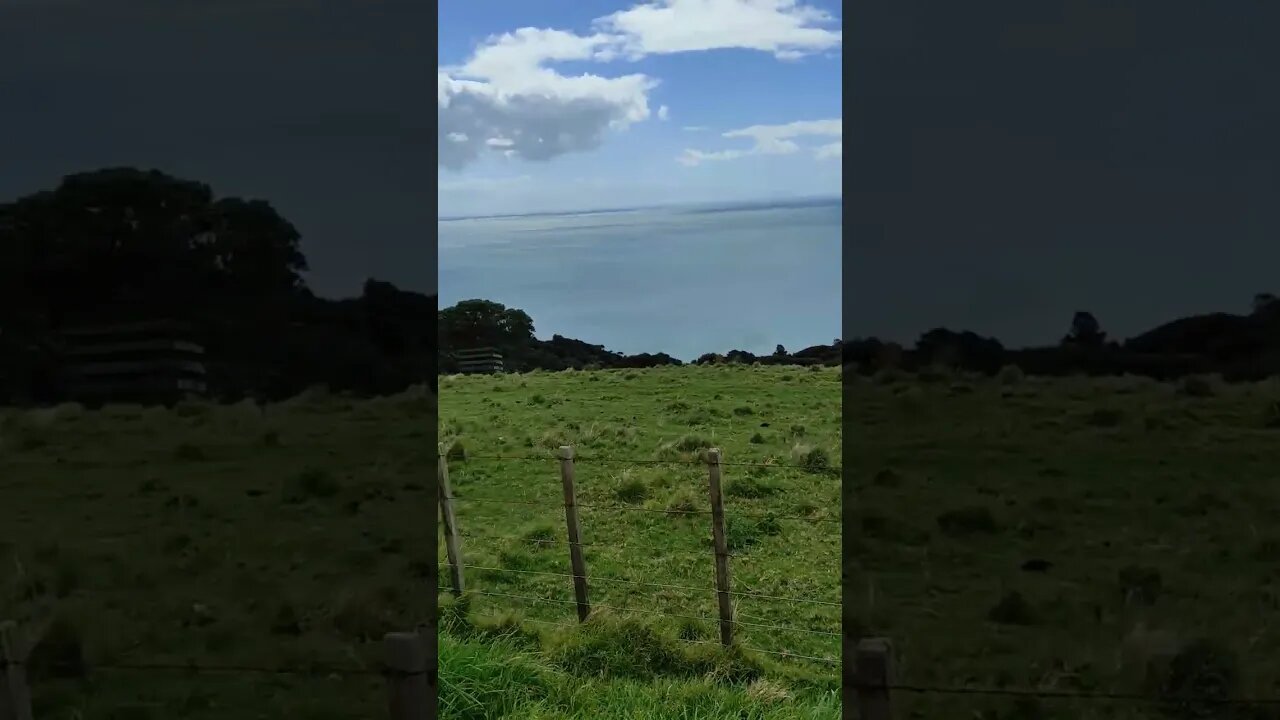 Cactus Bay Waiheke Island.