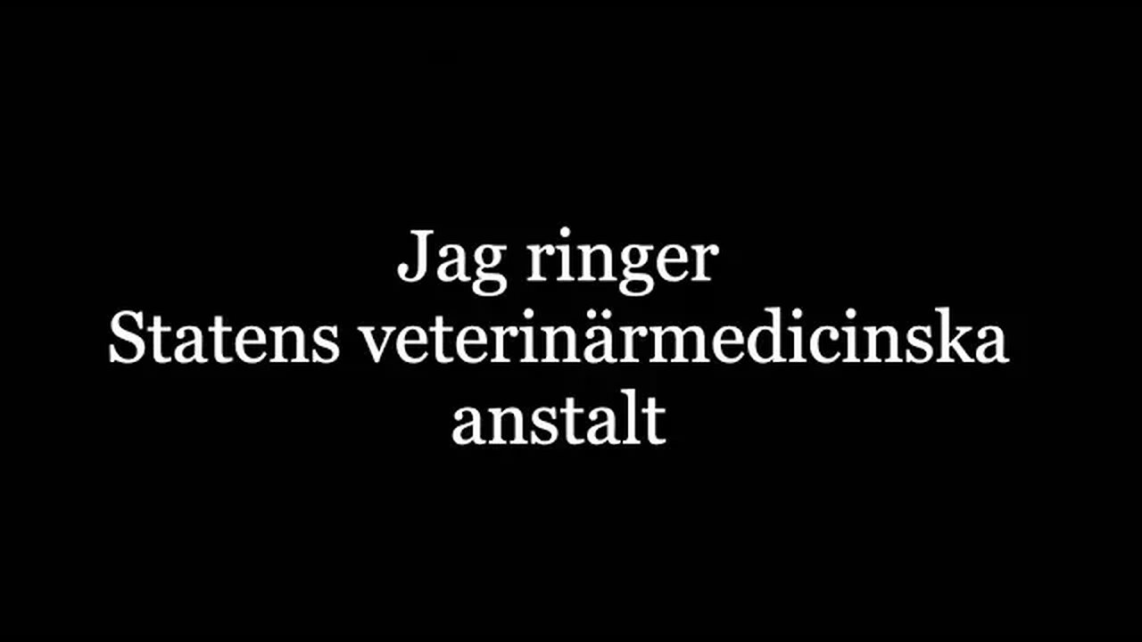 Jag ringer SVA och näringsdepartementet för att fråga om deras etiska riktlinjer djur-människa