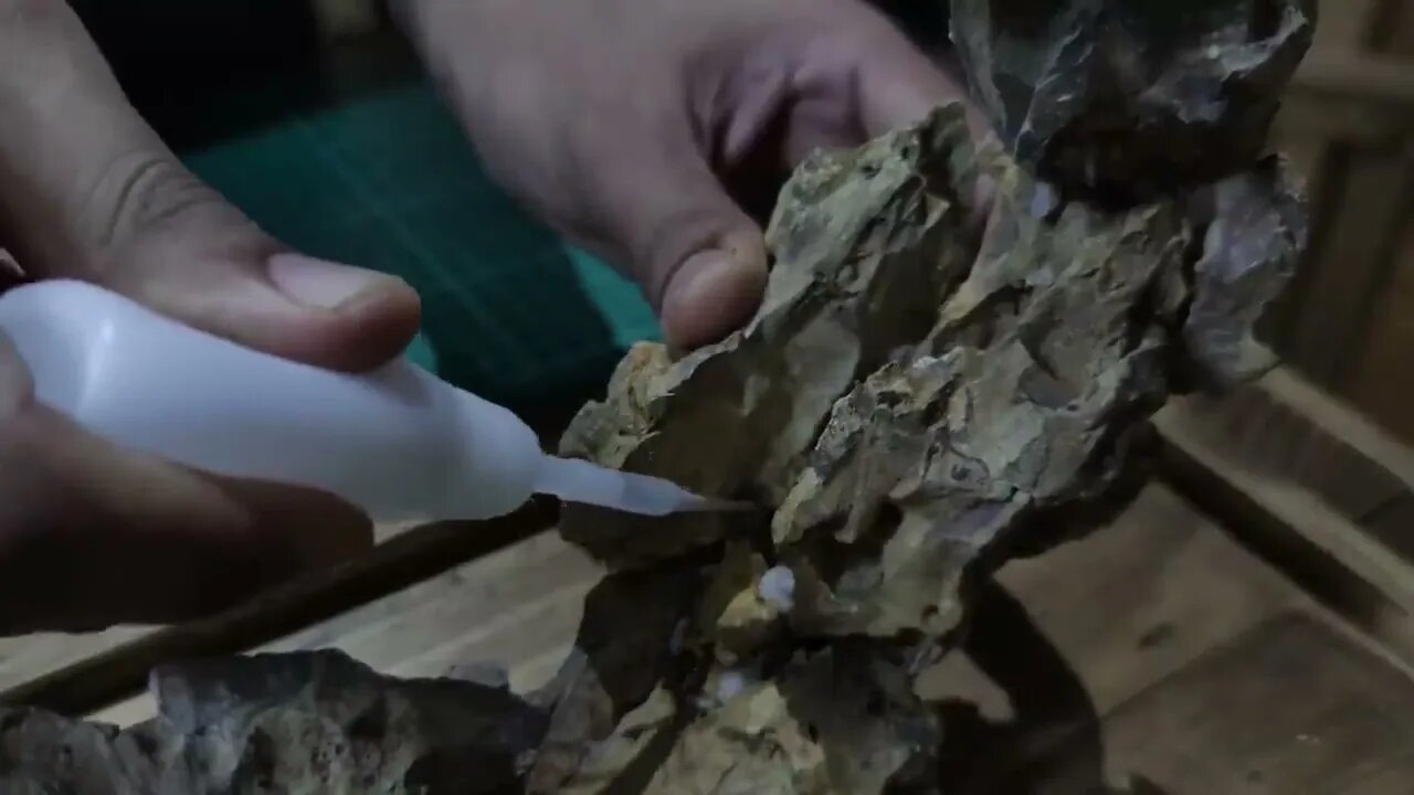 making a mini moon garden